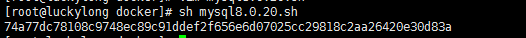 docker下mysql 8.0.20 安裝配置方法圖文教程