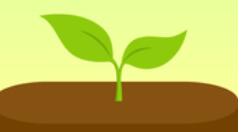 forest如何更改標(biāo)簽?更改標(biāo)簽的步驟分享