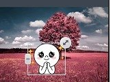 連我相機怎么使用？連我相機使用方法說明