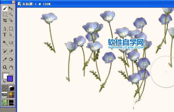 painter怎么使用豎型花草噴圖