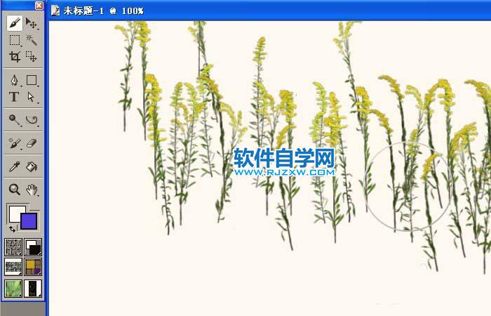 painter怎么使用豎型花草噴圖