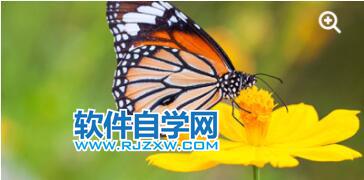 PS柵格圖像是什么意思？