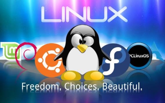 為什么高手離不開Linux系統(tǒng)？