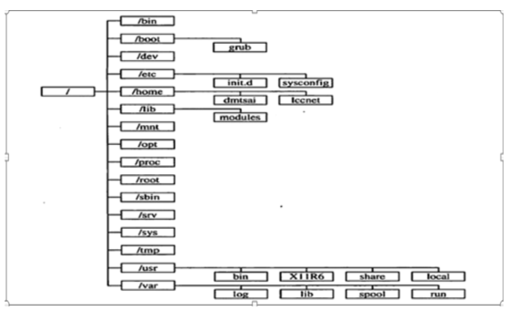 Linux目錄初識