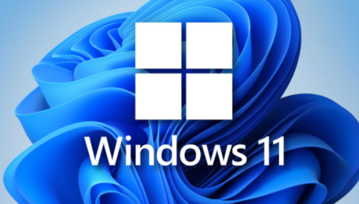 win11專業版永久激活密鑰