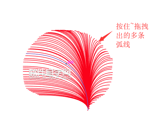 ai如何畫弧線