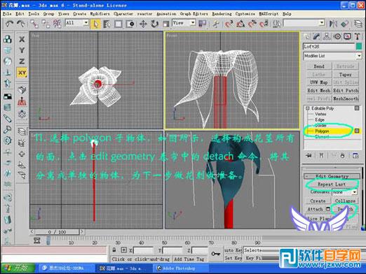 3dmax玫瑰花模型 制作講解