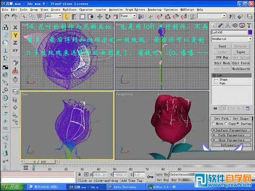 3dmax玫瑰花模型 制作講解