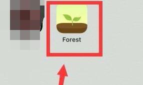 forest怎么一個(gè)人種樹
