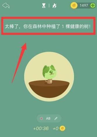 forest怎么一個(gè)人種樹