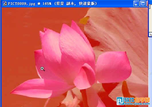 第十課:PS利用快速蒙板摳圖