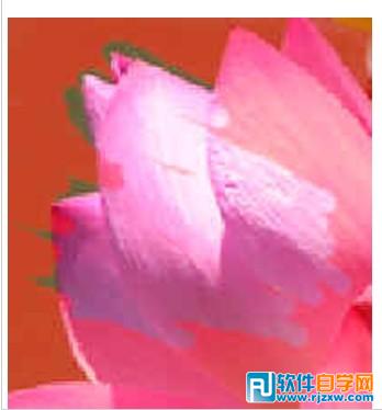 第十課:PS利用快速蒙板摳圖