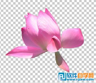 第十課:PS利用快速蒙板摳圖
