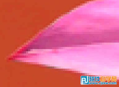 第十課:PS利用快速蒙板摳圖