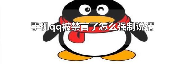 手機(jī)qq被禁言了怎么強(qiáng)制說(shuō)話(huà)